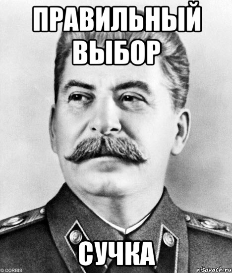 Правильный выбор сучка