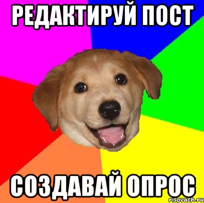 редактируй пост создавай опрос, Мем Advice Dog