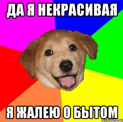 да я некрасивая я жалею о бытом, Мем Advice Dog