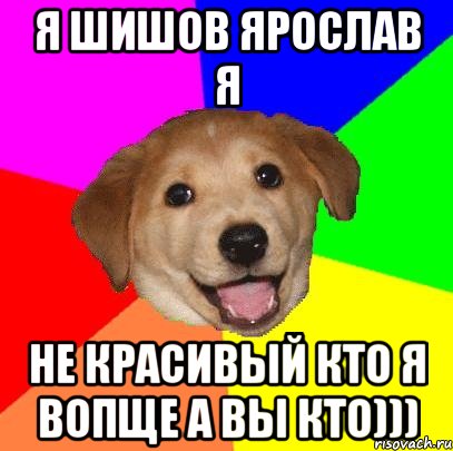 Я шишов ярослав я не красивый кто я вопще а вы кто))), Мем Advice Dog