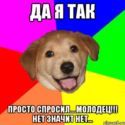 ДА Я ТАК ПРОСТО СПРОСИЛ....МОЛОДЕЦ!!! НЕТ ЗНАЧИТ НЕТ..., Мем Advice Dog