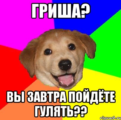 Гриша? Вы завтра пойдёте гулять??, Мем Advice Dog