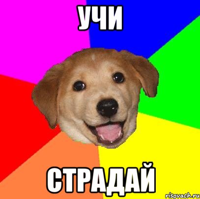 Учи Страдай, Мем Advice Dog