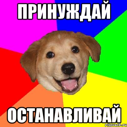 ПРИНУЖДАЙ ОСТАНАВЛИВАЙ, Мем Advice Dog