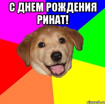 С днем рождения Ринат! , Мем Advice Dog