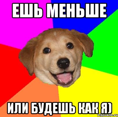 Ешь меньше Или будешь как я), Мем Advice Dog