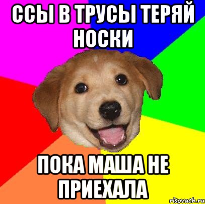 ссы в трусы теряй носки пока маша не приехала, Мем Advice Dog