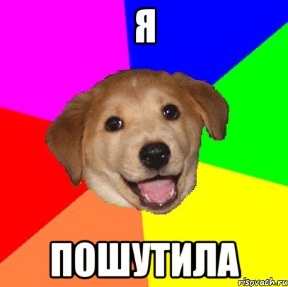 я пошутила, Мем Advice Dog