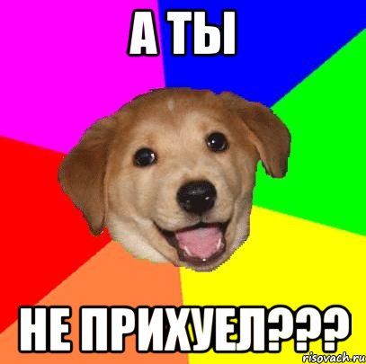 а ты не прихуел???, Мем Advice Dog