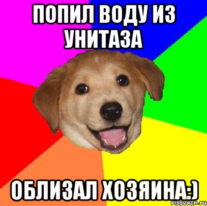 Попил воду из унитаза облизал хозяина:), Мем Advice Dog