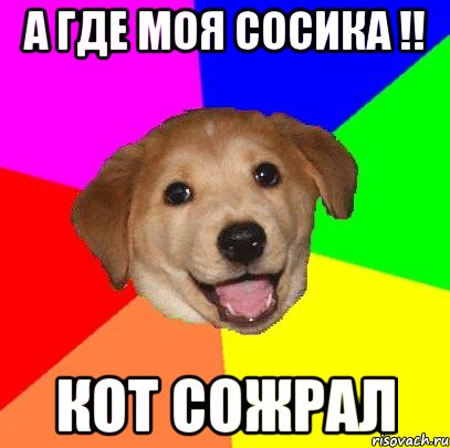 а где моя сосика !! кот сожрал, Мем Advice Dog