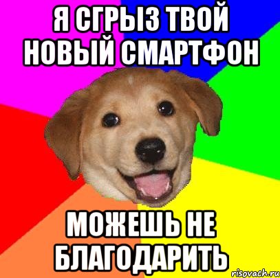 Я сгрыз твой новый смартфон можешь не благодарить, Мем Advice Dog