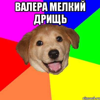 Валера мелкий дрищь , Мем Advice Dog