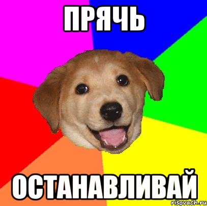 Прячь Останавливай, Мем Advice Dog