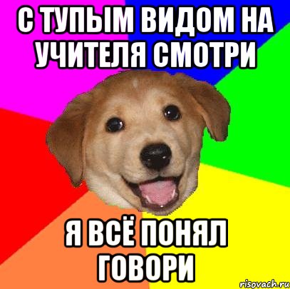 с тупым видом на учителя смотри я всё понял говори, Мем Advice Dog