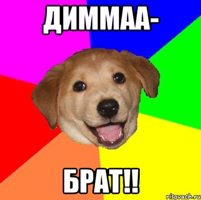 диммаа- брат!!, Мем Advice Dog