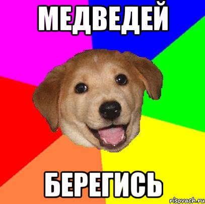 медведей берегись, Мем Advice Dog