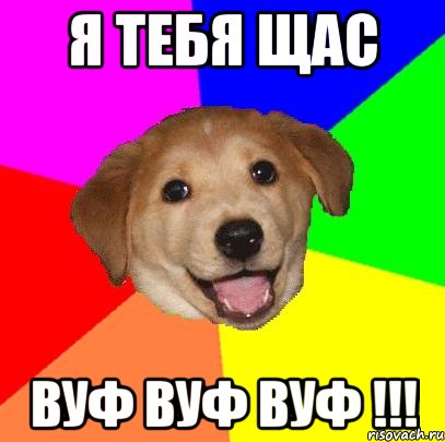 я тебя щас вуф вуф вуф !!!, Мем Advice Dog