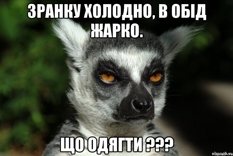 Зранку холодно, в обід жарко. що одягти ???, Мем   Я збагоен