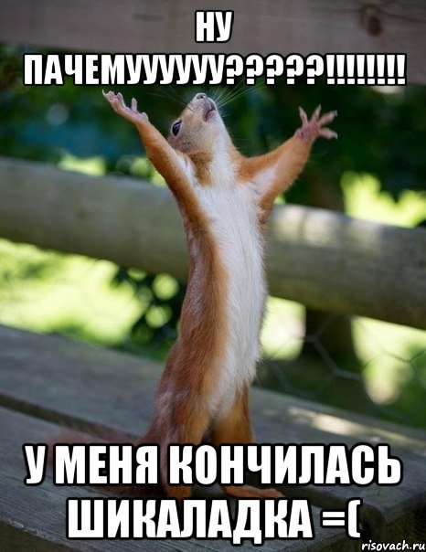 НУ ПАЧЕМУУУУУУ?????!!!!!!!! у меня кончилась шикаладка =(, Мем    белка молится