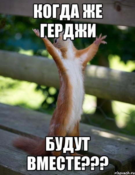 когда же герджи будут вместе???, Мем    белка молится