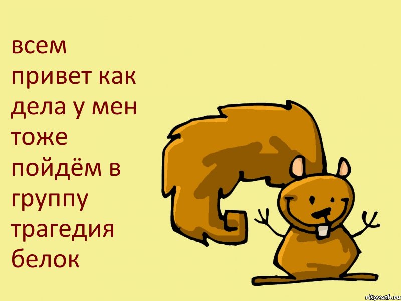 всем привет как дела у мен тоже пойдём в группу трагедия белок, Комикс  белка