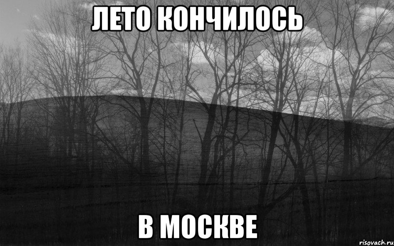 Лето кончилось в Москве, Мем безысходность лес