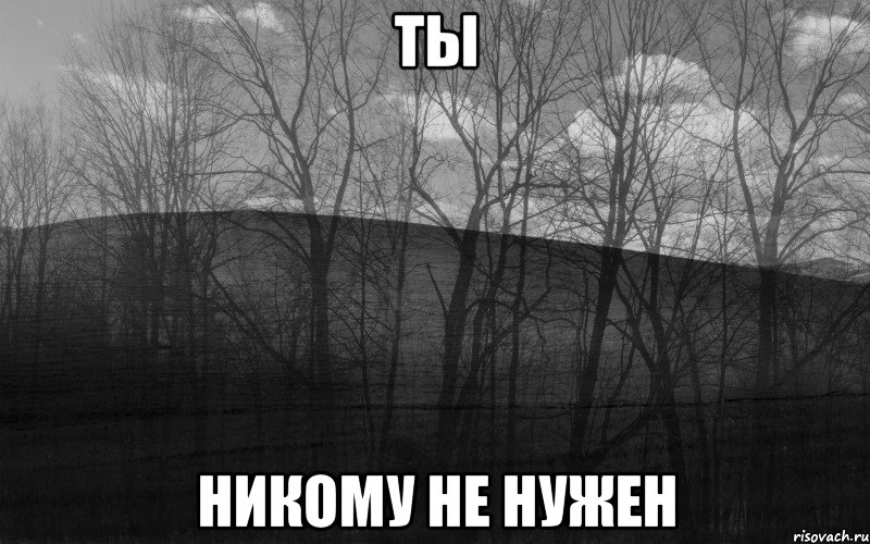 ТЫ НИКОМУ НЕ НУЖЕН, Мем безысходность лес