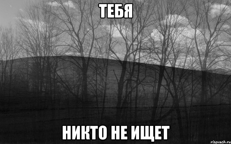 ТЕБЯ НИКТО НЕ ИЩЕТ, Мем безысходность лес