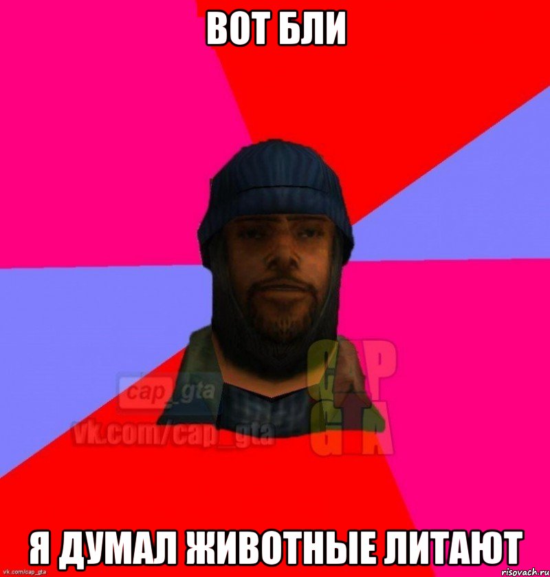 ВОТ БЛИ Я ДУМАЛ ЖИВОТНЫЕ ЛИТАЮТ, Мем   Бомжcapgta