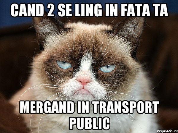 cand 2 se ling in fata ta mergand in transport public, Мем  cat