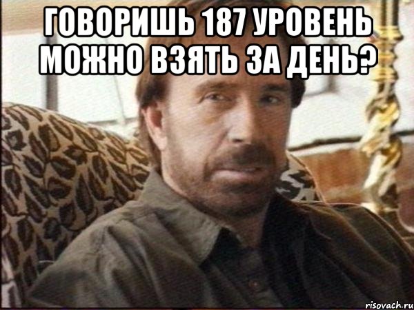 Говоришь 187 уровень можно взять за день? , Мем чак норрис