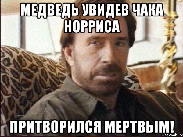 Медведь увидев Чака Норриса притворился мертвым!, Мем чак норрис