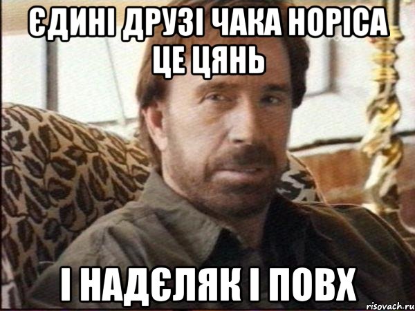 Єдині друзі Чака Норіса це Цянь І Надєляк І Повх, Мем чак норрис