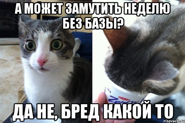 а может замутить неделю без базы? да не, бред какой то, Комикс  Да не бред-какой-то (2 зоны)