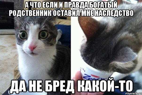 А что если и правда богатый родственник оставил мне наследство да не бред какой-то, Комикс  Да не бред-какой-то (2 зоны)