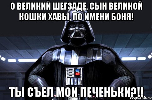 О великий шегзаде, сын великой кошки Хавы, по имени Боня! Ты съел мои печеньки?!!, Мем Дарт Вейдер