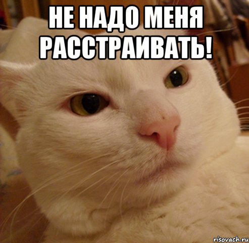 Не надо меня расстраивать! , Мем Дерзкий котэ