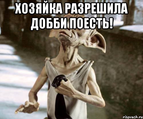 Хозяйка разрешила Добби поесть! , Мем добби