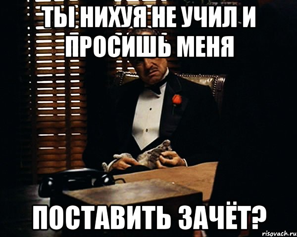 Ты нихуя не учил и просишь меня поставить зачёт?, Мем Дон Вито Корлеоне