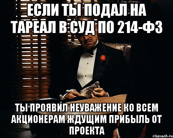 если ты подал на Тареал в суд по 214-ФЗ ты проявил неуважение ко всем акционерам ждущим прибыль от проекта, Мем Дон Вито Корлеоне