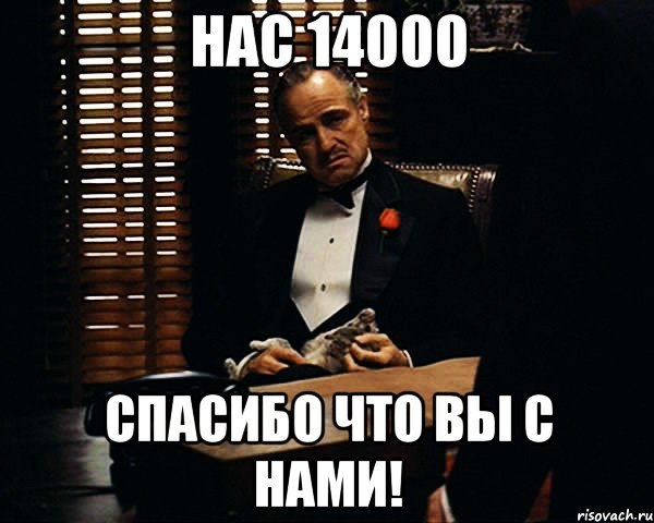 нас 14000 Спасибо что вы с нами!, Мем Дон Вито Корлеоне