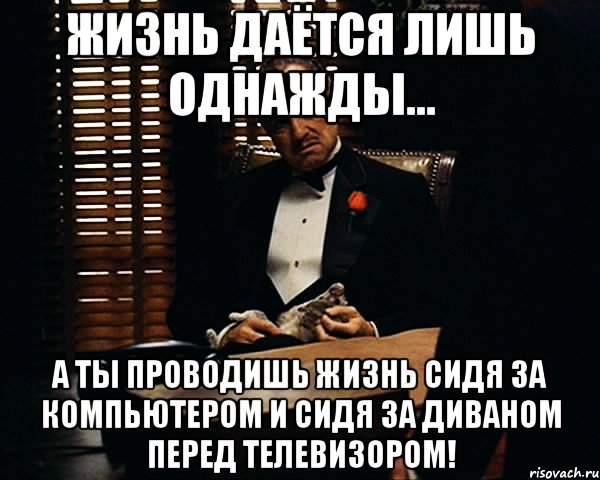 Жизнь Даётся Лишь Однажды... А Ты Проводишь Жизнь Сидя За Компьютером И Сидя За Диваном Перед Телевизором!, Мем Дон Вито Корлеоне