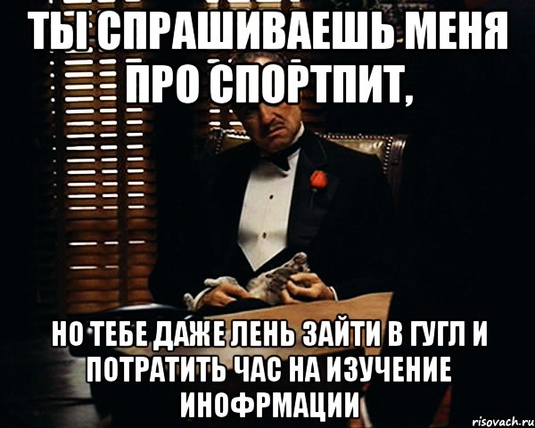 ты спрашиваешь меня про спортпит, но тебе даже лень зайти в гугл и потратить час на изучение инофрмации, Мем Дон Вито Корлеоне