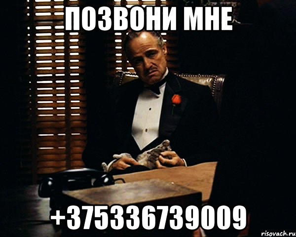 Позвони мне +375336739009, Мем Дон Вито Корлеоне