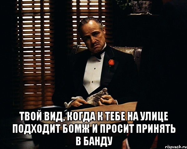  твой вид, когда к тебе на улице подходит бомж и просит принять в банду, Мем Дон Вито Корлеоне