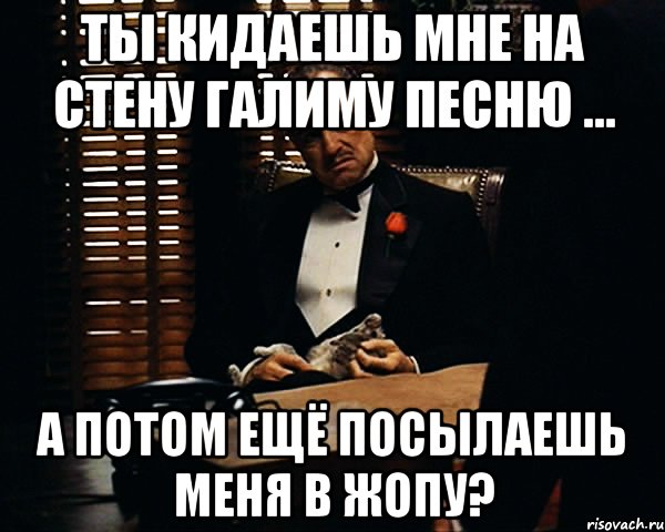 Ты кидаешь мне на стену галиму песню ... А потом ещё посылаешь меня в жопу?, Мем Дон Вито Корлеоне