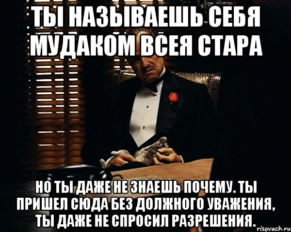 Ты называешь себя мудаком всея Стара Но ты даже не знаешь почему. Ты пришел сюда без должного уважения, ты даже не спросил разрешения., Мем Дон Вито Корлеоне