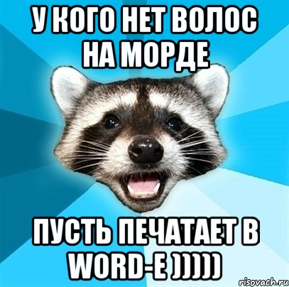 у кого нет волос на морде пусть печатает в WORD-е ))))), Мем Енот-Каламбурист