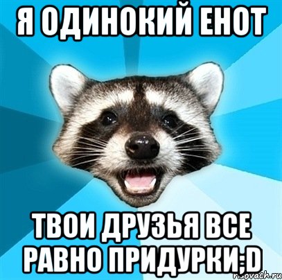 Я одинокий енот Твои друзья все равно придурки;D